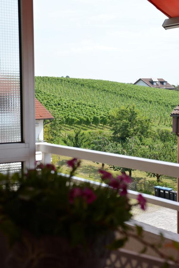 Ferienwohnung Seaview Meersburg Zewnętrze zdjęcie